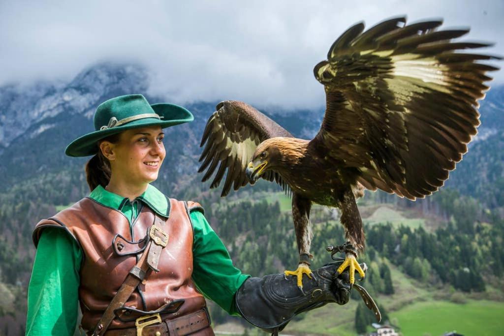 Alpenrelax Haus Weidmannsheil Wohnen Im Romantischen Forsthaus Werfen Kültér fotó