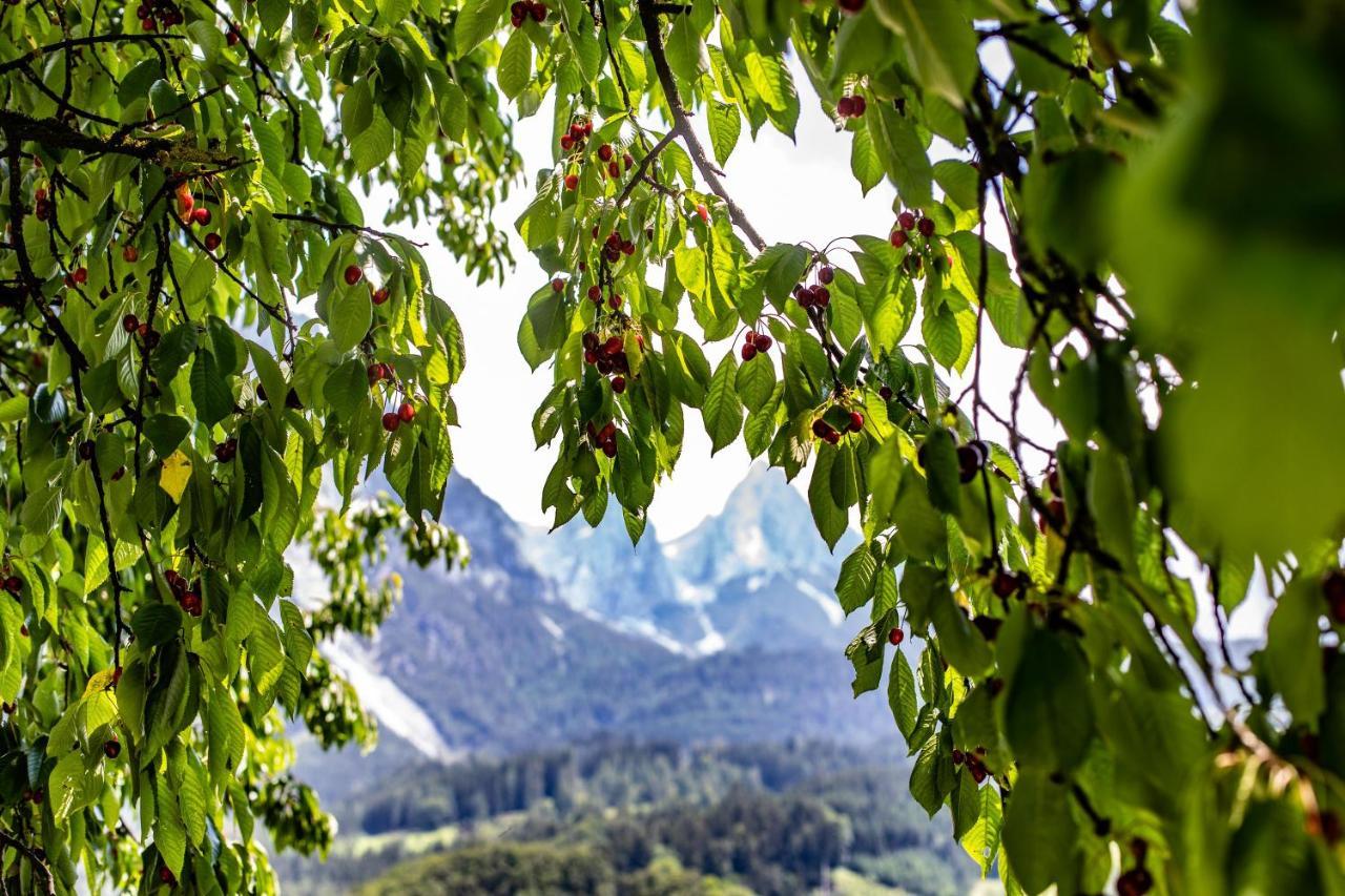 Alpenrelax Haus Weidmannsheil Wohnen Im Romantischen Forsthaus Werfen Kültér fotó