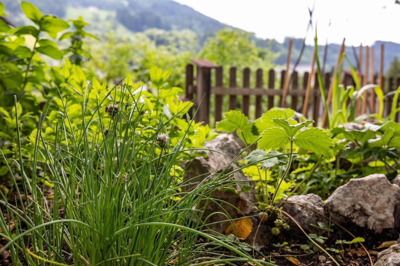 Alpenrelax Haus Weidmannsheil Wohnen Im Romantischen Forsthaus Werfen Kültér fotó